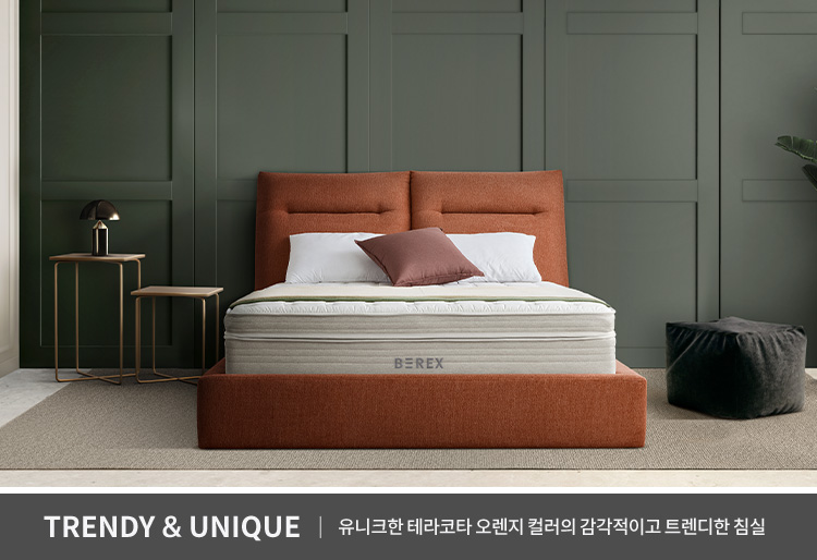 코웨이 CFSS-CB01 BEREX 컴포트 프레임 상세이미지 31