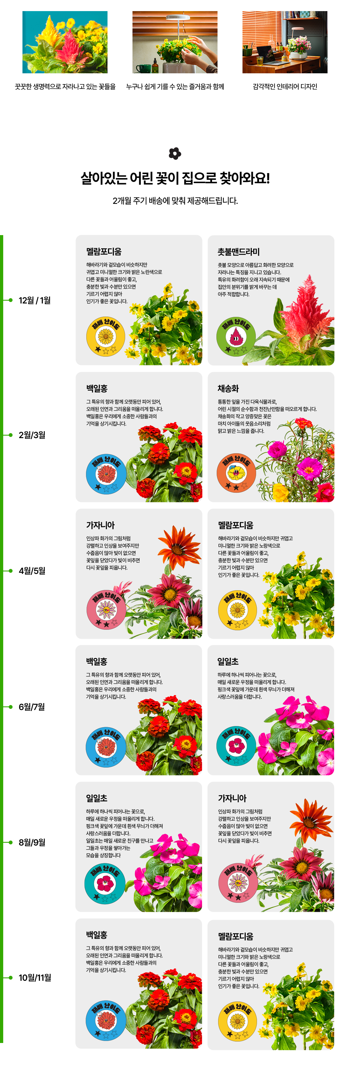 교원웰스 GQ104 웰스팜 플라워 초심자 패키지 상세이미지 2