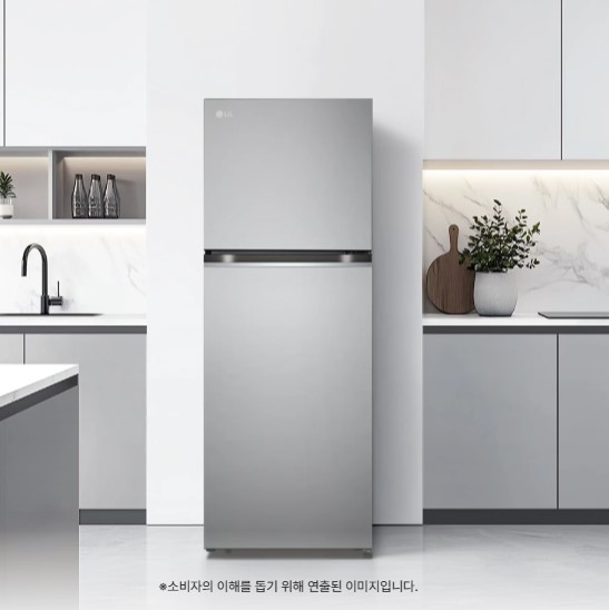 LG 디오스 오브제컬렉션 일반냉장고 317L