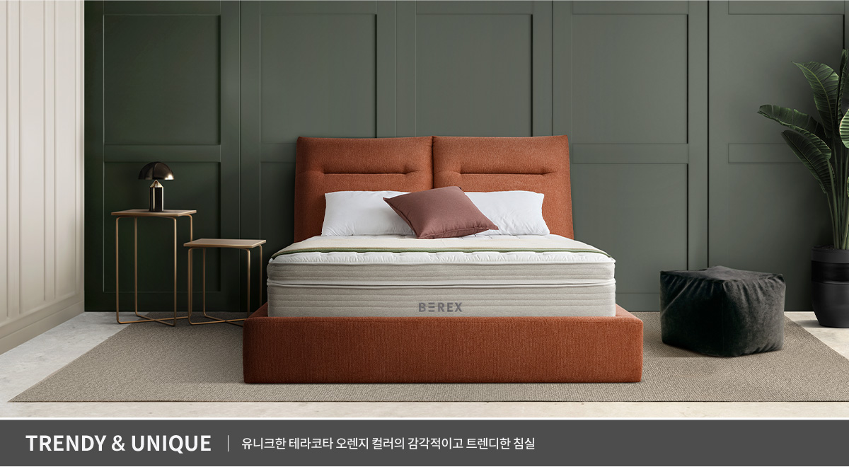 코웨이 CFQ-CB01 BEREX 컴포트 프레임 상세이미지 30